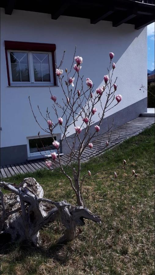 Apartments Schoell Reutte Exterior foto